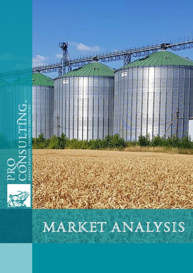 Analytical note on the market of silos and conveyors in Ukraine. 2024 year